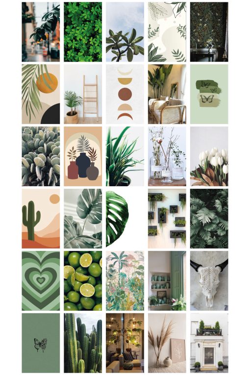 Botanical 30'lu Duvar Posteri Seti Oda Dekoru Botanik Temalı Poster Seti