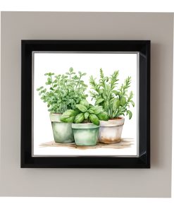 Çerçeveli Pleksi Camlı Saksıda Fesleğen ve Defne Yaprağı Temalı Tablo 20 x 20 cm